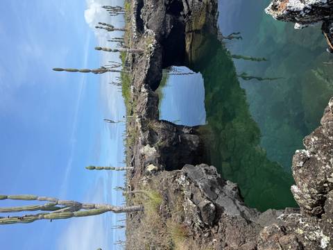 Clear green water pool framed by black lava arch and tall cactus columns under blue sky