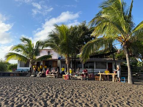 Outdoor beachfront restaurant scene with palm trees, volunteers in yellow shirts and guests at wooden tables on black sand