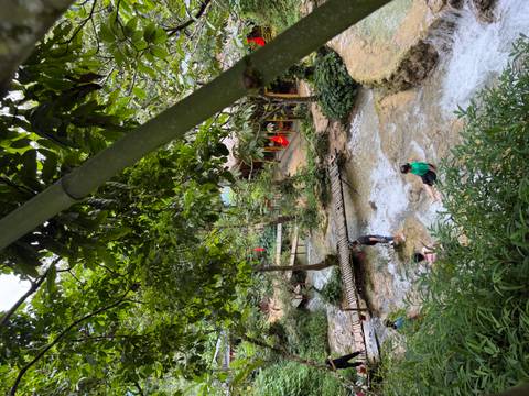 Visitors cooling off in a shallow forest stream below bamboo branches and footbridge