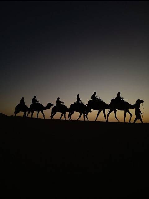 Silhouetted camel caravan journeys across a dune ridge at sunset.