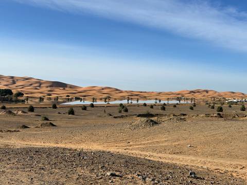 Expansive desert plain dotted with small trees and a shimmering seasonal lake with distant dunes.
