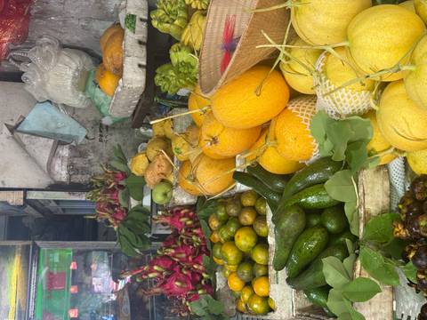 Vibrant market stall stacked high with tropical fruits including melons, avocados, dragon fruit and citrus.