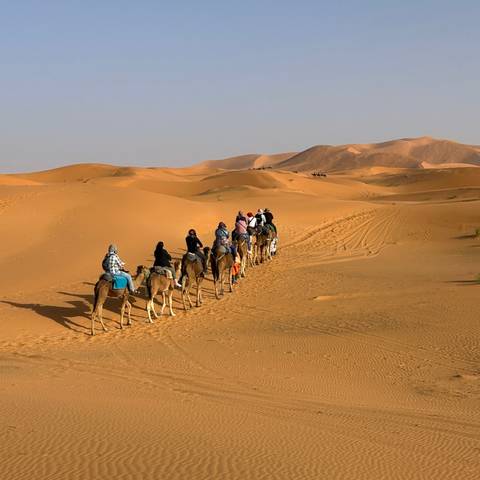 A long caravan of tourists on camels winds through rolling golden dunes.