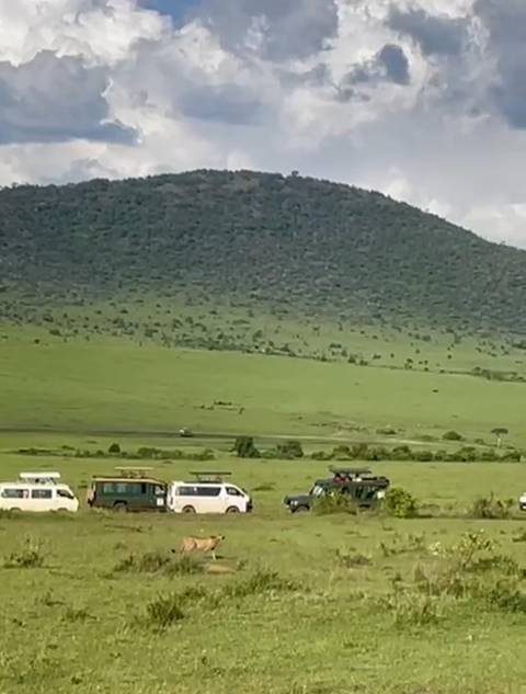 Distant safari vehicles on an open green plain below a forested hill under overcast skies.