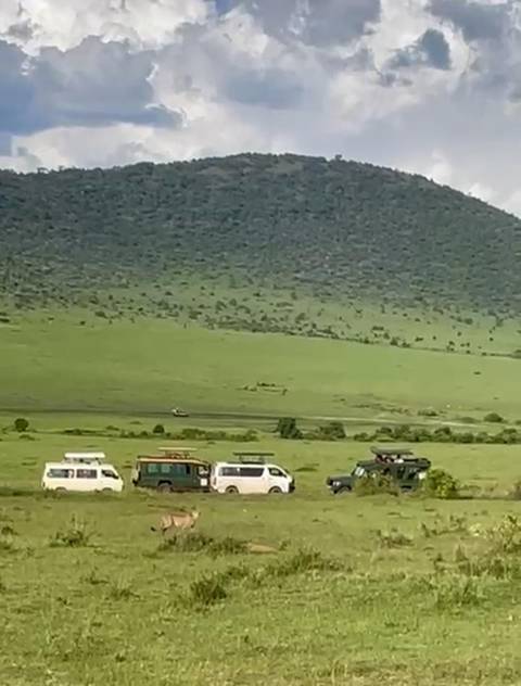 Blurry shot of safari vans gathered on grassy savannah with a wooded hill backdrop.
