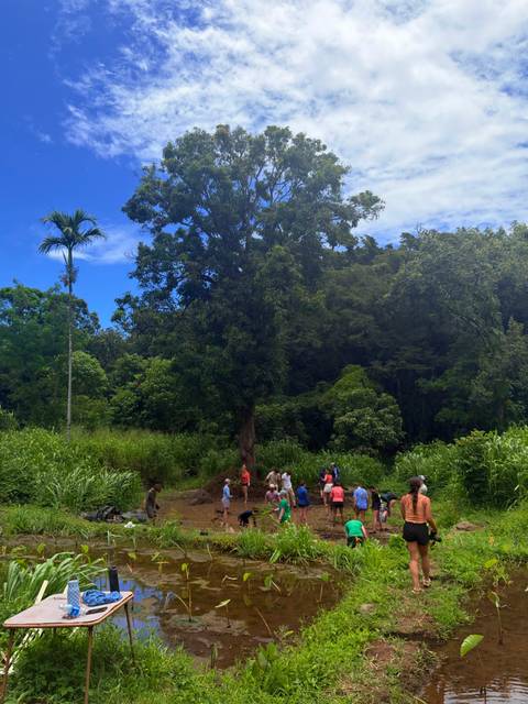 Group of visitors stand in a lush clearing surrounded by towering trees under blue sky.