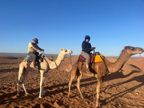 Two travellers ride camels across reddish desert sand under a vivid blue sky.
