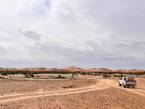 Dusty track with a lone pickup truck heading toward distant sand dunes under a pale sky.