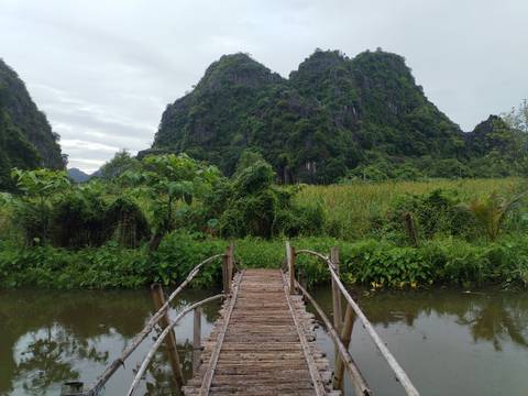 A rustic wooden footbridge crosses a marshy stream toward steep green karst hills.