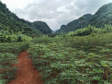 A red-earth path winds through dense green vegetation with towering jungle-covered mountains ahead.