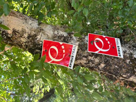 Bright red Epirus Trail way-markers fixed to the mossy trunk of a forest tree.
