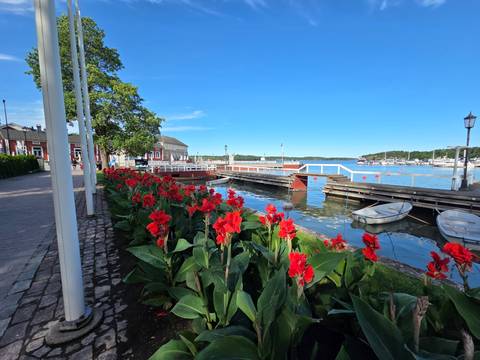 Vibrant red flowers line a waterfront promenade with wooden piers, boats and blue skies.