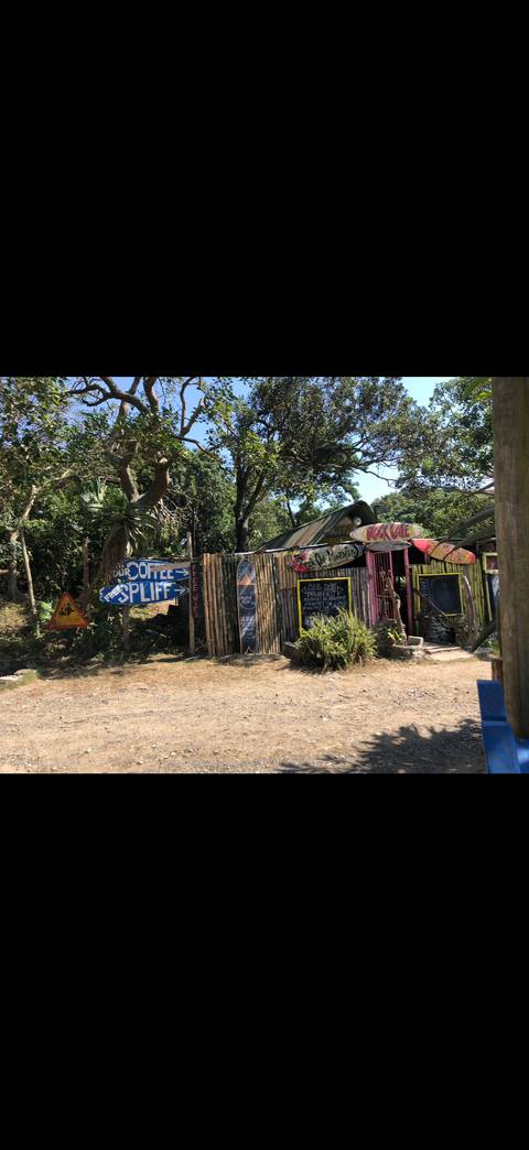 Rustic roadside café decorated with painted surfboards, bamboo fencing and colorful signs in a forest setting.