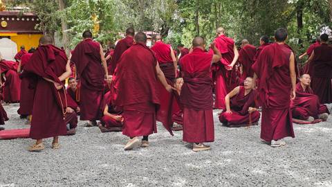 Dozens of monks in deep red robes gathered outdoors for scholarly debate.