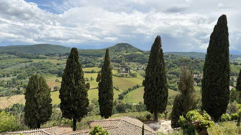 Tall cypress trees frame rolling Tuscan hills and vineyards beneath a partly cloudy sky.