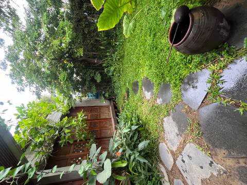 A lush private garden with stepping-stone path, bamboo and a wooden bungalow opens onto a patch of wet grass after rain.