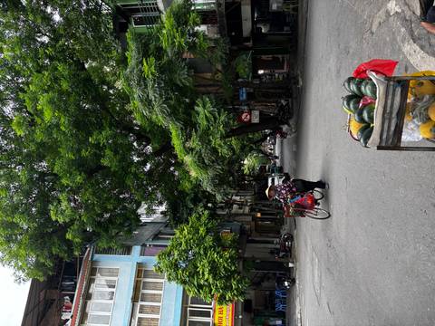 Quiet tree-lined street where a vendor pedals a bicycle cart loaded with produce and watermelons sit in a cart in the foreground.