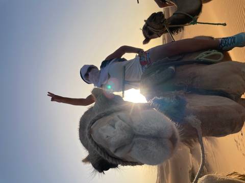 Close camel muzzle in foreground with rider giving peace sign against bright desert sun flare