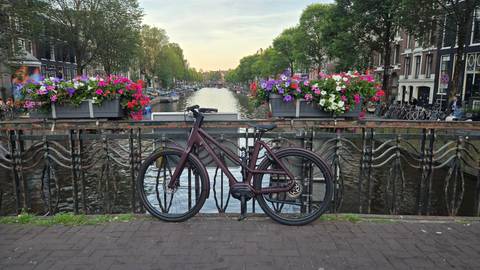 Bicycle parked on a flower-decked bridge over an Amsterdam canal lined with historic townhouses.