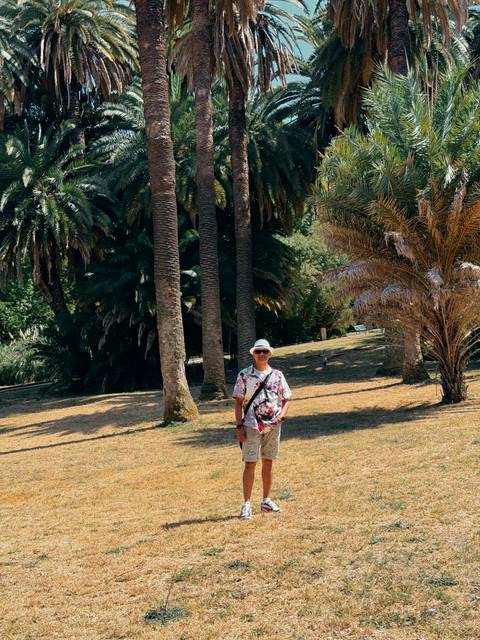Traveller standing in a sunny tropical park surrounded by tall palm trees and greenery.