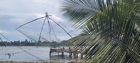 Iconic Chinese fishing nets stretch over the water framed by vibrant palm fronds in coastal Kerala.