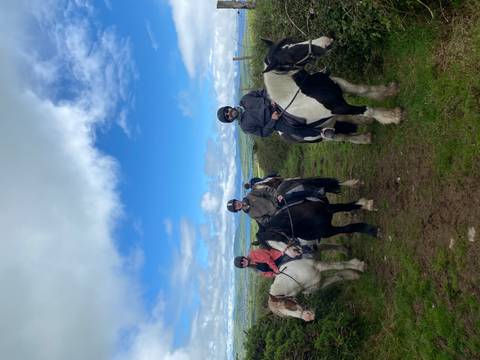 Riders on sturdy horses line a grassy trail with rolling Irish countryside and blue skies beyond.