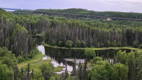 Aerial view of reflective forest ponds and dense evergreen trees stretching to distant hills.