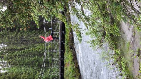 Hiker strikes a triumphant pose on a narrow suspension bridge over a fast-flowing forest river.