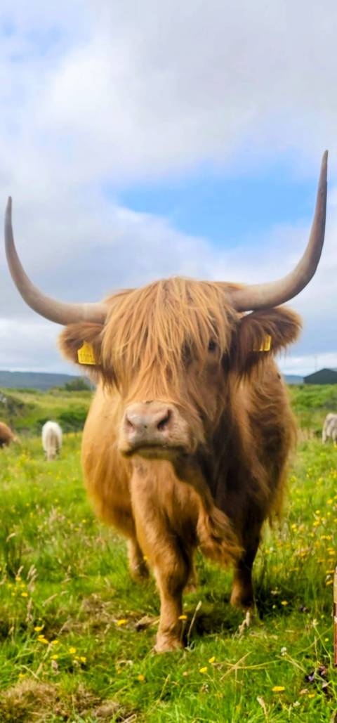 Photo d'avis client sur 3 jours sur l'île de Skye