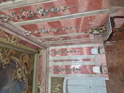 Elegant rococo room with painted ceiling, ornate walls and antique furniture.