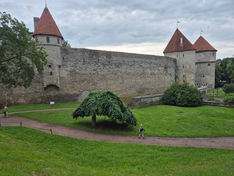 Tallinn medieval stone walls and red-roofed towers beside green park.