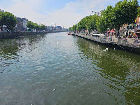 River Liffey scene with swans, pedestrian quays and distant bridge in Dublin