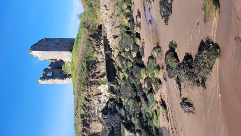 Stone ruin tower atop a grassy cliff above a rocky, seaweed-strewn beach at low tide.