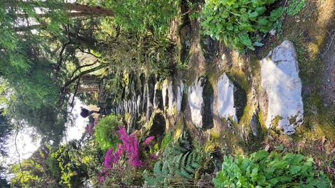 Moss-covered stone steps winding uphill through a vibrant garden of azaleas and ferns.