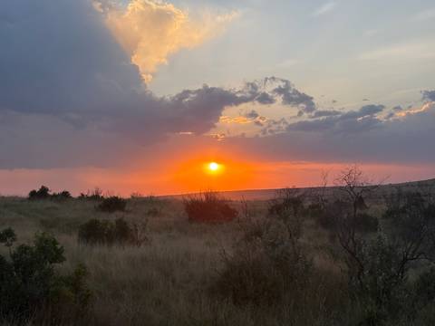 Vivid orange sun setting over grassy savanna with dramatic clouds.