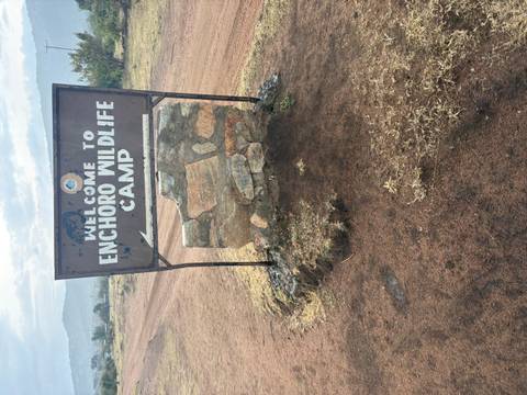 Weathered camp entrance sign reading 'Welcome to Enchoro Wildlife Camp' on dirt track.