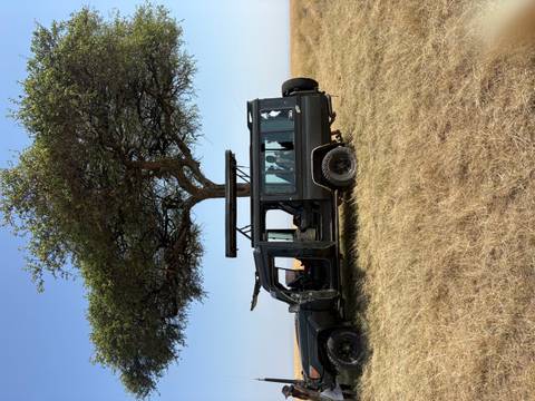 A safari jeep with pop-up roof parked under a lone acacia tree on a dry grass savannah.
