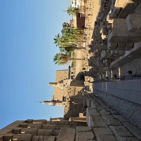 Palm-lined avenue leading to ruins of Luxor Temple in late afternoon light