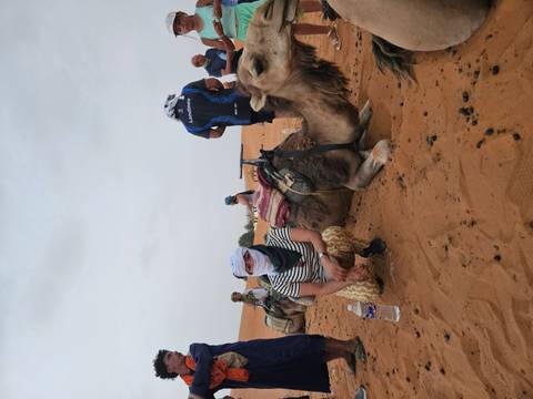 Travellers wearing scarves rest beside camels lying on orange Sahara dunes under an overcast sky.