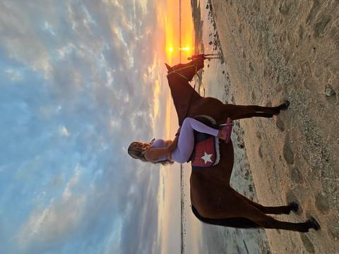 At sunset, a woman rides a saddled horse along a tranquil shoreline as golden light reflects on the water.