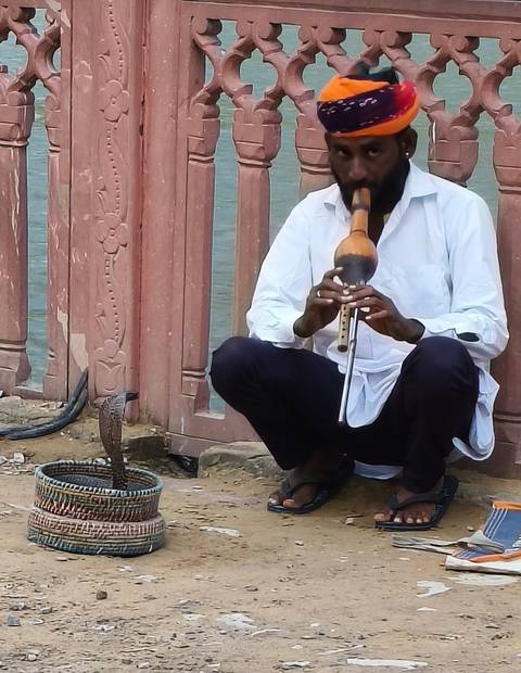 A snake charmer plays a traditional flute while a cobra rises from a basket beside him.