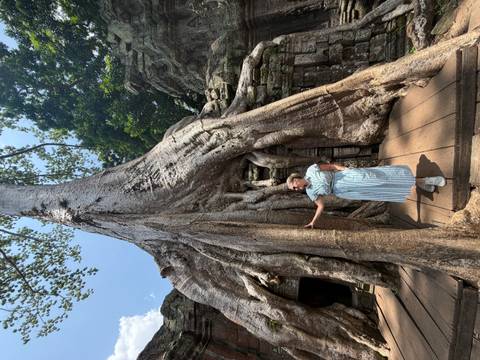 Woman touches the huge root of an ancient tree engulfing temple ruins at Ta Prohm.