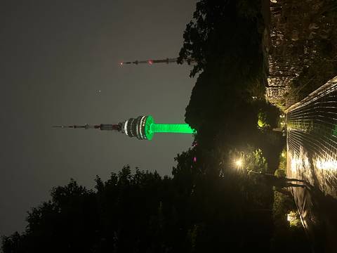 N Seoul Tower glowing green on a misty night, framed by trees and pathway lights.