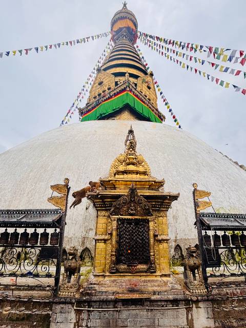 Golden Swayambhunath stupa base with two monkeys leaping across ornate carvings.