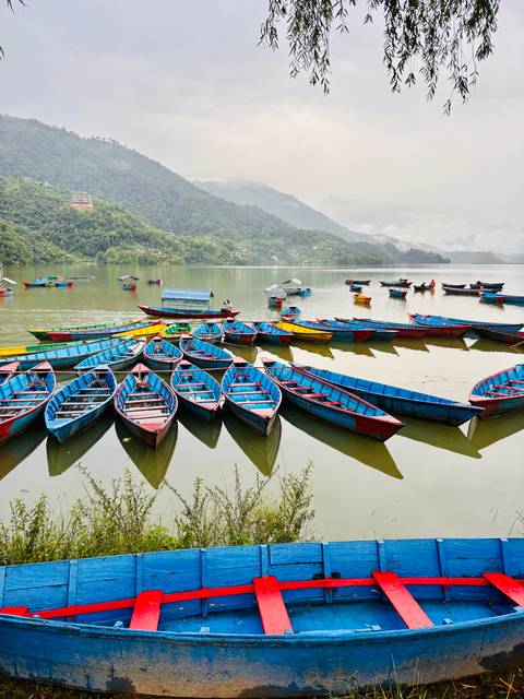 Dozens of brightly painted wooden boats moored on calm Phewa Lake with misty green hills beyond.