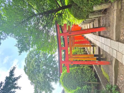 Pathway lined with rows of vivid red torii gates stretching through lush green shrine grounds.