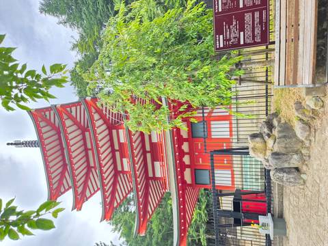Red and white Chureito Pagoda framed by leafy trees, with tranquil shrine grounds in foreground.