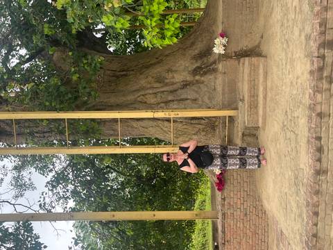 Traveler stands in prayer in front of a sacred fig tree supported by golden scaffolding.