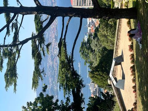 Hilltop park overlooking Vigo Bay with a couple picnicking under tall cedar trees and ferries below.