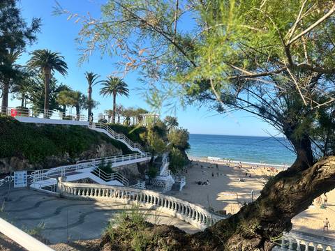 Sandy urban beach in Santander with staircases, palm trees and bathers enjoying afternoon sun.